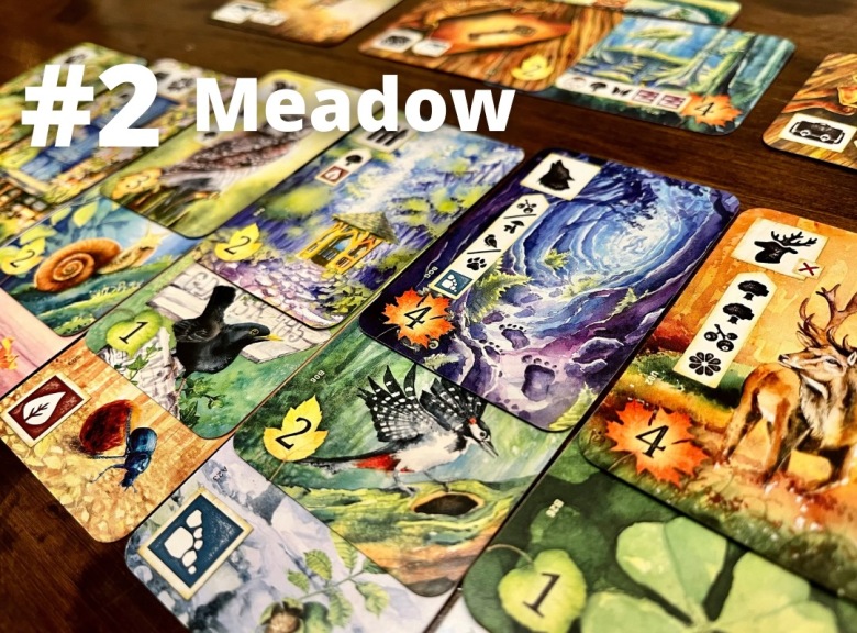 Meadow board and card game tableau featuring wildlife and plants